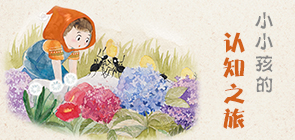 小小孩的認知之旅